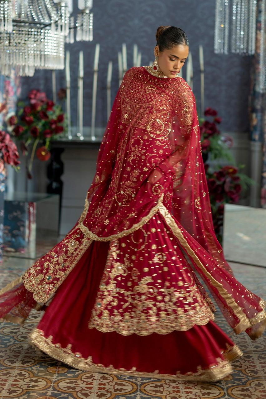 Ariya Red Bridal Collection
