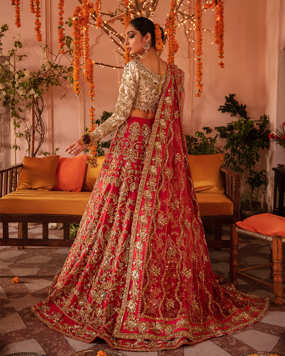 Aaima Bridal Collection