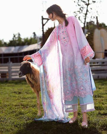 Mushq | Solace | Ombre Chikankari-Faint Blossom