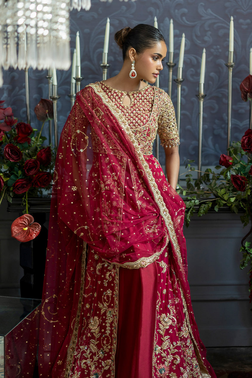 Ariya Red Bridal Collection