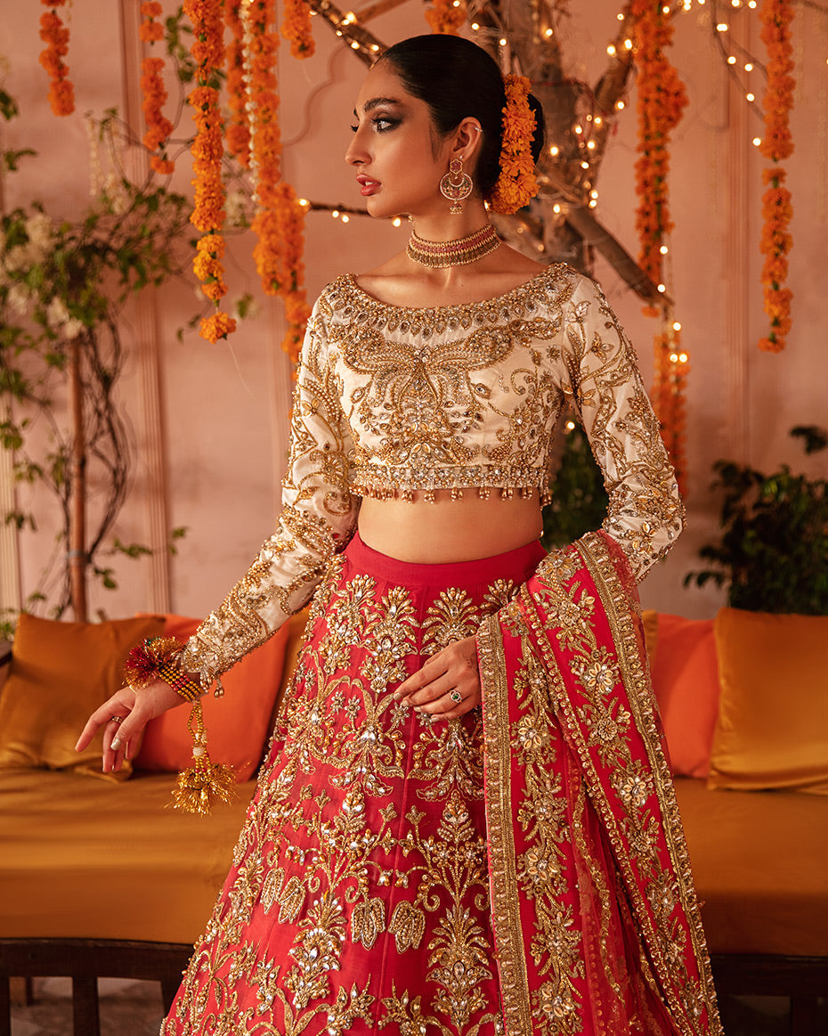 Aaima Bridal Collection